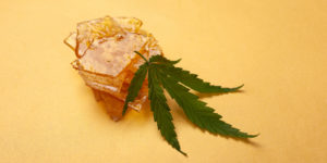 cannabis concentrates