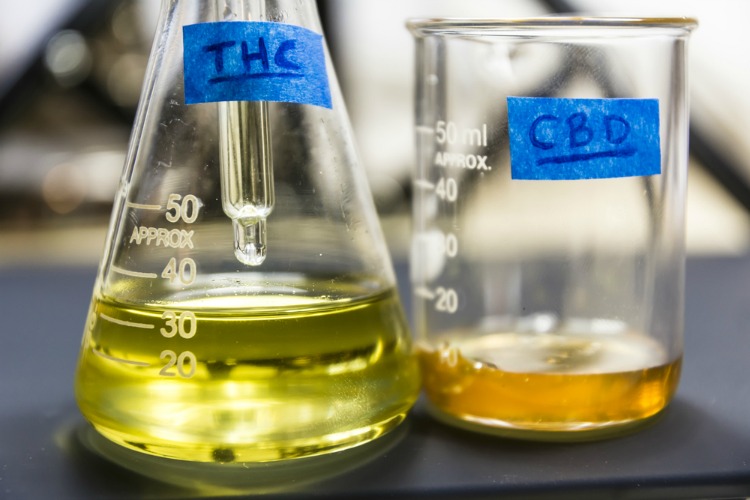 cannabis for nausea beakers