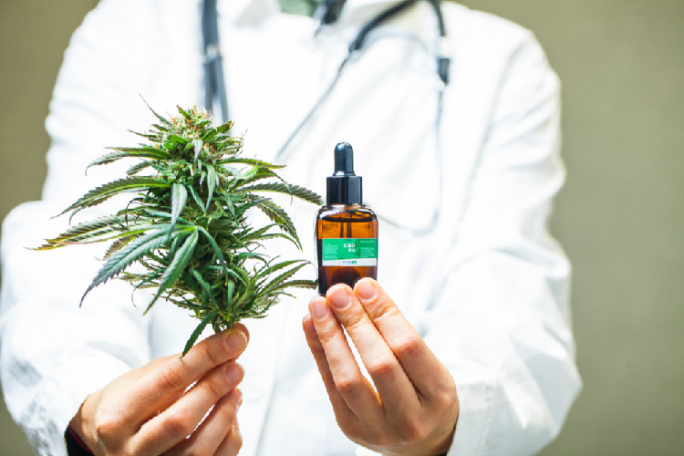 Cannabis for Palliative Care doctor with plant
