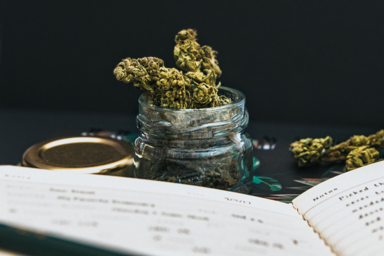 cannabis journal 3