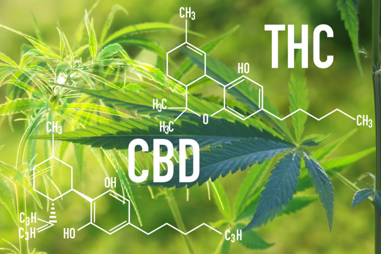 effects of indica cannabinoids