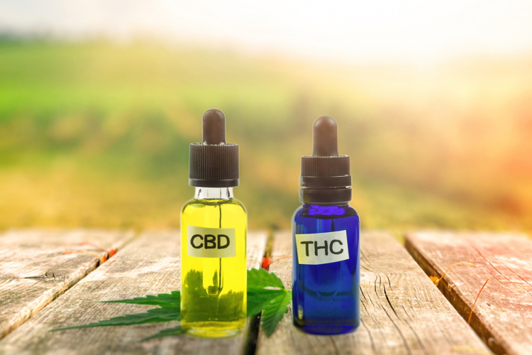 High CBD 1