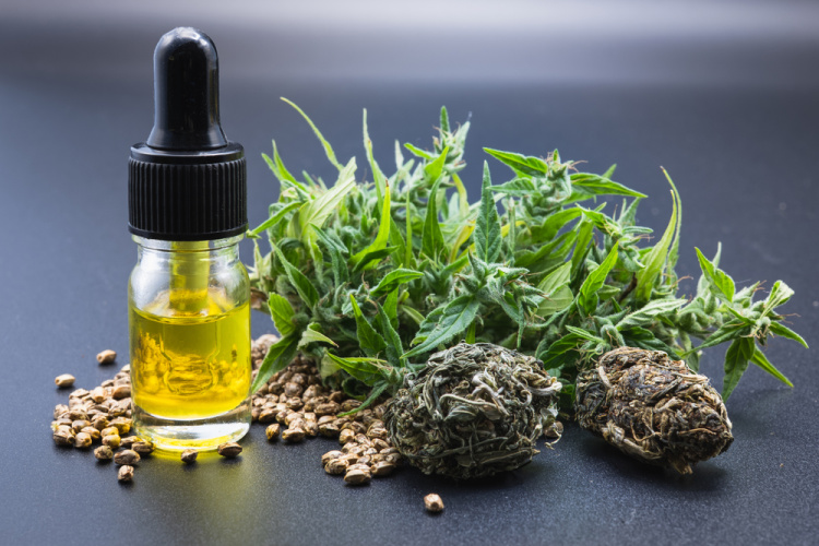 High CBD 2