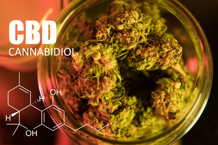 High CBD Strains 2