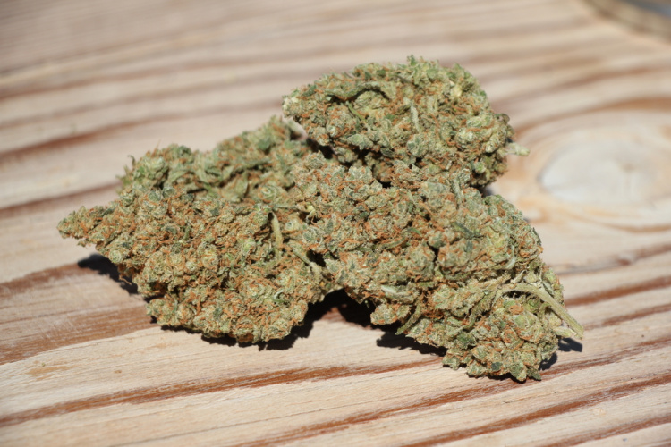 Jack Herer 1