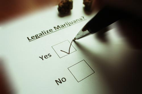 Marijuana Legalization Close Up with a pen check Yes Box