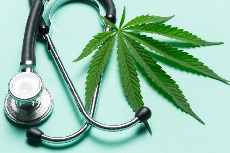maryland medical cannabis program stethoscope with flower