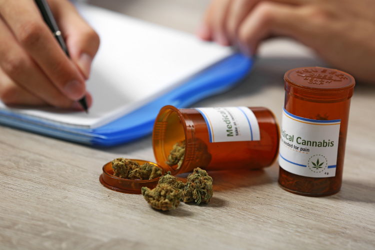 maryland medical cannabis program vial with cannabis flower