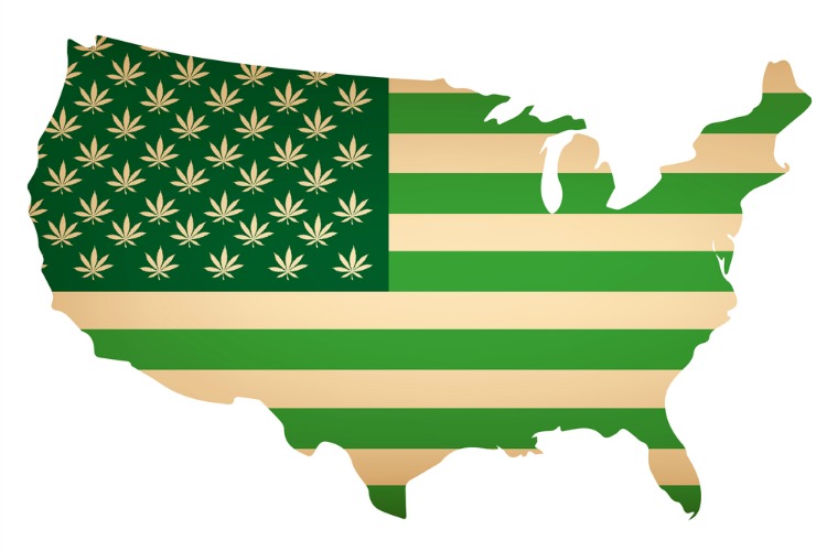 medical cannabis statistics US