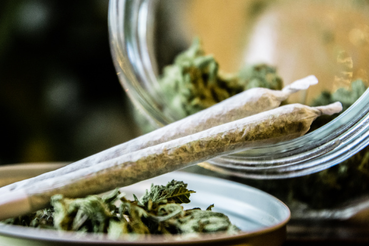 NORML 1