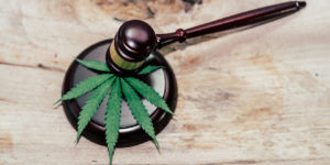 NORML