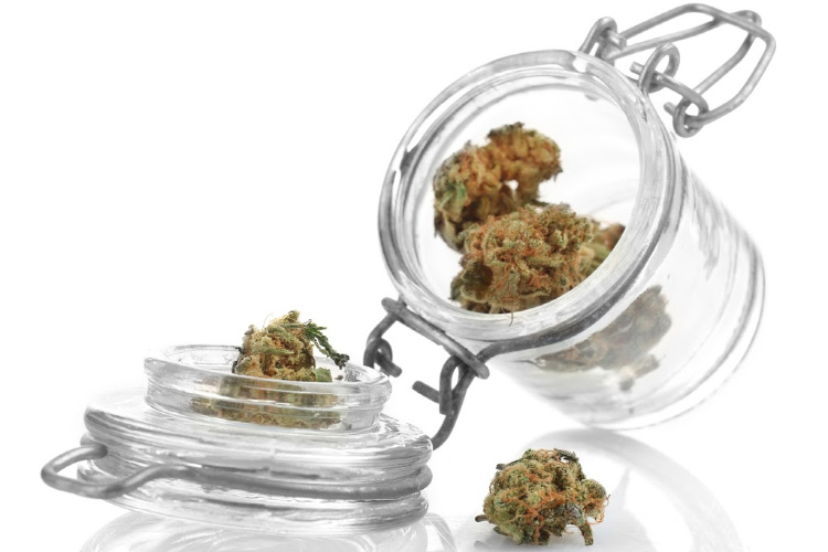 storing cannabis 3