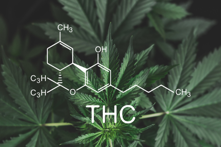 THC in edibles 2