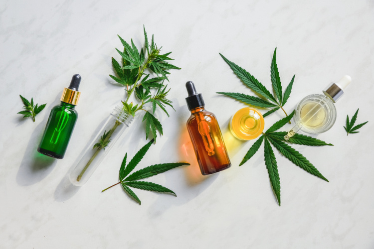 The Endocannabinoid System Explained