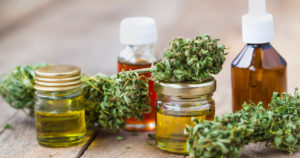 The Endocannabinoid System Explained