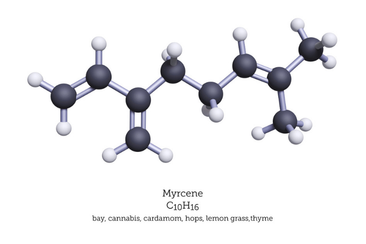 Terpenes for Anxiety 3